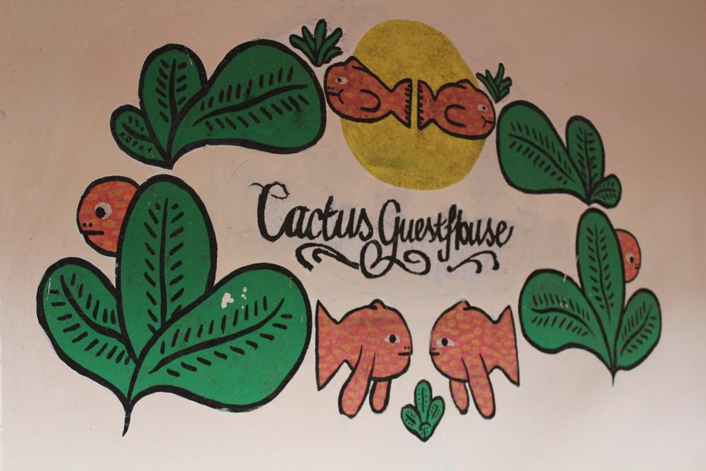 Cactus Guesthouse 阿姆波尔 外观 照片