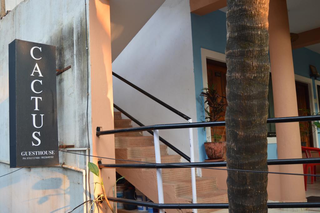 Cactus Guesthouse 阿姆波尔 外观 照片